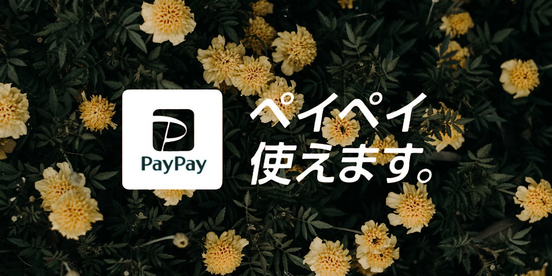 PayPay決済をご希望のお客様はご予約の際、もしくはセラピスト様にお申し付けください。